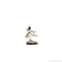 D&D Icons of the Realms Premium Figures: Human Monk Female