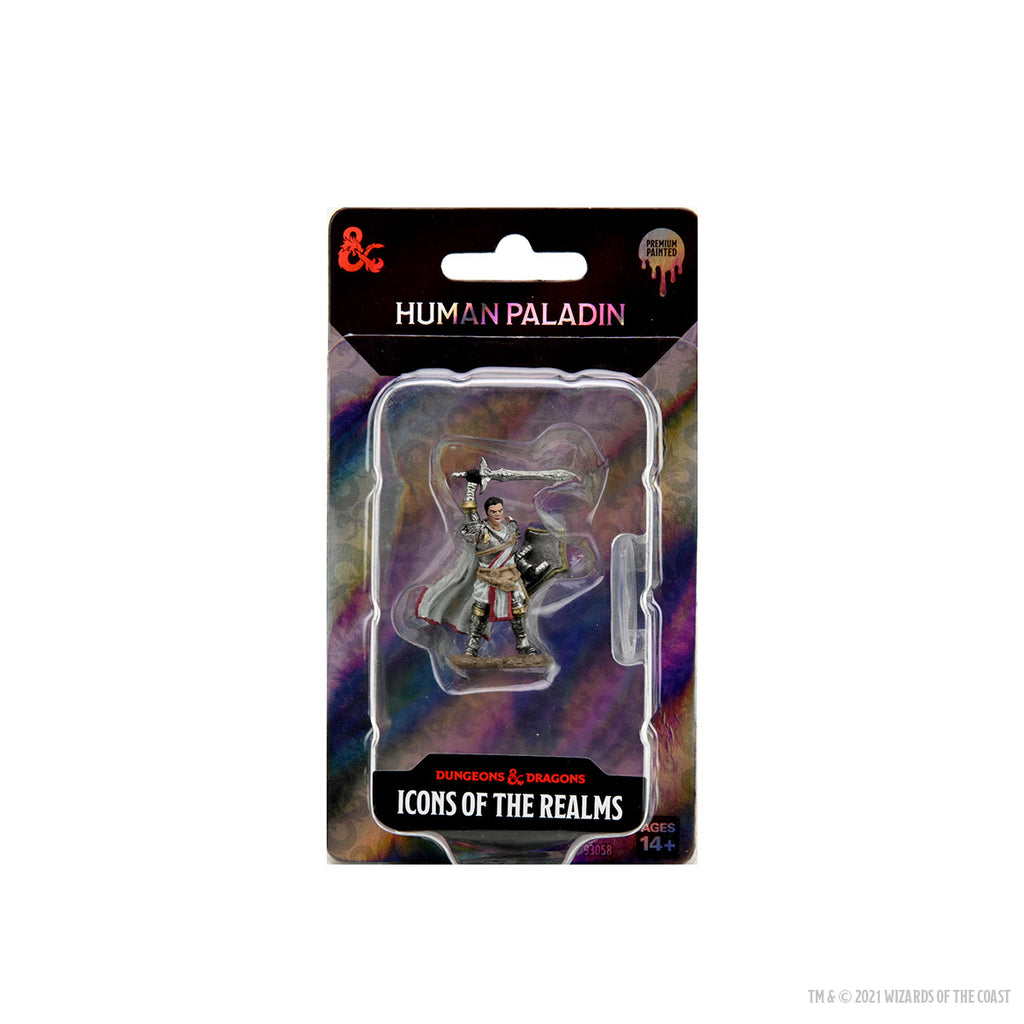 D&D Icons of the Realms Premium Figures: Male Human Paladin