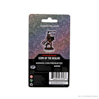 D&D Icons of the Realms Premium Figures: Male Human Paladin