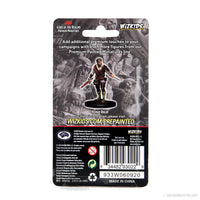 D&D Icons of the Realms: Premium Painted Figure - Human Rogue Male