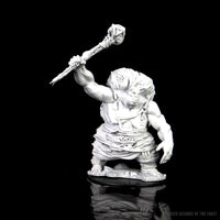 D&D Nolzur's Marvelous Miniatures - Hill Giant