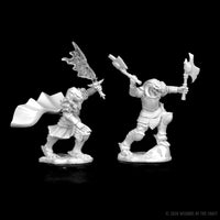 D&D Nolzur's Marvelous Miniatures: Dragonborn Female Fighter