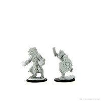 D&D Nolzur's Marvelous Miniatures: Lizardfolk Barbarian & Lizardfolk Cleric