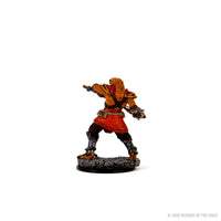 D&D Icons of the Realms Premium Figures: Male Dragonborn Fighter