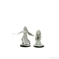 D&D Nolzur's Marvelous Miniatures: Night Hag & Dusk Hag