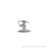 D&D Nolzur's Marvelous Miniatures: Oni Female