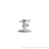 D&D Nolzur's Marvelous Miniatures: Oni Female