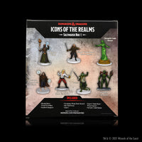 D&D Icons of the Realms: Saltmarsh: Box 1