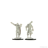 D&D Nolzur's Marvelous Miniatures: Scarecrow & Stone Cursed