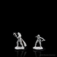 D&D Nolzur's Marvelous Miniatures: Shifter Rogue Female