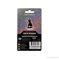 D&D Icons of the Realms Premium Figures: Female Shifter Rogue