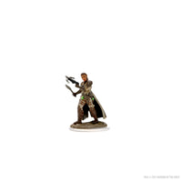 D&D Icons of the Realms Premium Figures: Female Shifter Rogue