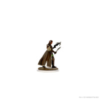 D&D Icons of the Realms Premium Figures: Female Shifter Rogue