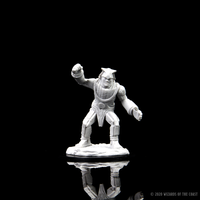 D&D Nolzur's Marvelous Miniatures - Stone Golem