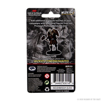 D&D Icons of the Realms Premium Figures: Male Goliath Fighter