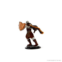 D&D Icons of the Realms Premium Figures: Male Goliath Fighter