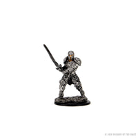 D&D Icons of the Realms Premium Figures: Male Human Fighter