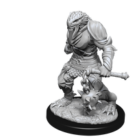 D&D Nolzur's Marvelous Miniatures - Male Dragonborn Paladin