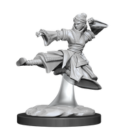 D&D Nolzur's Marvelous Miniatures - Female Human Monk