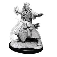 D&D Nolzur's Marvelous Miniatures - Male Human Wizard