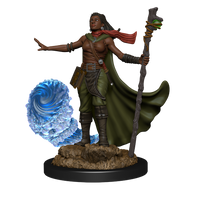 D&D Nolzur's Marvelous Miniatures - Female Human Wizard