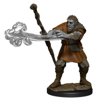 D&D Nolzur's Marvelous Miniatures - Male Firbolg Druid