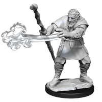 D&D Nolzur's Marvelous Miniatures - Male Firbolg Druid