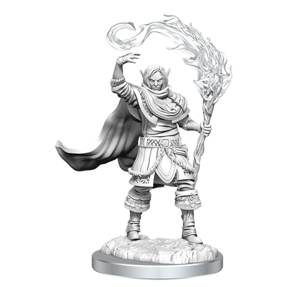 D&D Nolzur's Marvelous Miniatures: Elf Cleric Male - 1