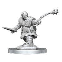 D&D Nolzur's Marvelous Miniatures: Dwarf Fighter Female