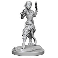 D&D Nolzur's Marvelous Miniatures: Shifter Fighter