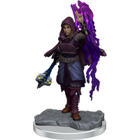 D&D Nolzur's Marvelous Miniatures: Half-Elf Warlock