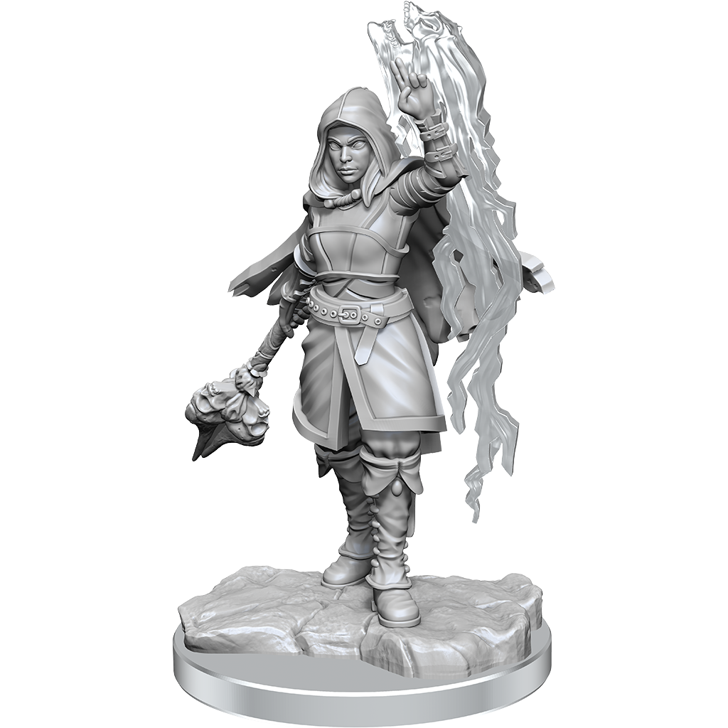 D&D Nolzur's Marvelous Miniatures: Half-Elf Warlock