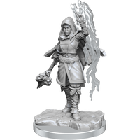 D&D Nolzur's Marvelous Miniatures: Half-Elf Warlock