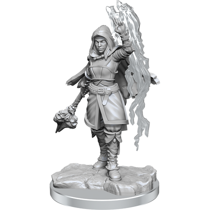 D&D Nolzur's Marvelous Miniatures: Half-Elf Warlock - 1