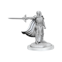 D&D Nolzur's Marvelous Miniatures: Death Knights