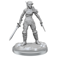 D&D Nolzur's Marvelous Miniatures: Elf Rogue & Half-Elf Rogue Protégé