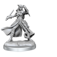 D&D Frameworks: Tiefling Rogue Female - Unpainted and Unassembled