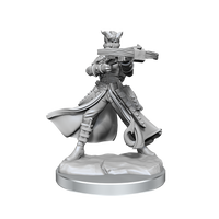 D&D Frameworks: Tiefling Rogue Female - Unpainted and Unassembled