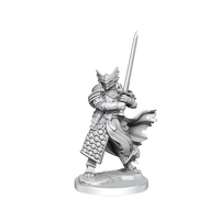 D&D Frameworks: Dragonborn Paladin Male - Unpainted and Unassembled