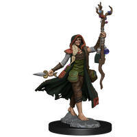 D&D Frameworks: Human Druid Female - Unpainted and Unassembled