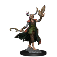 D&D Frameworks: Human Druid Female - Unpainted and Unassembled