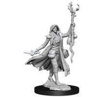 D&D Frameworks: Human Druid Female - Unpainted and Unassembled