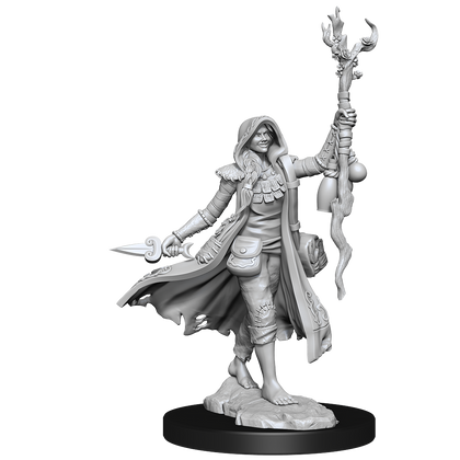 D&D Frameworks: Human Druid Female - Unpainted and Unassembled - 2