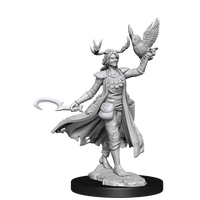 D&D Frameworks: Human Druid Female - Unpainted and Unassembled