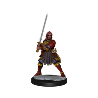 D&D Frameworks: Human Fighter Female - Unpainted and Unassembled