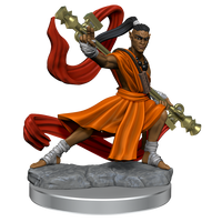 D&D Frameworks: Elf Monk Male - Unpainted and Unassembled