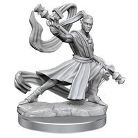 D&D Frameworks: Elf Monk Male - Unpainted and Unassembled