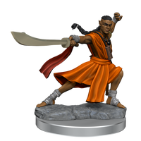 D&D Frameworks: Elf Monk Male - Unpainted and Unassembled