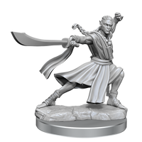 D&D Frameworks: Elf Monk Male - Unpainted and Unassembled