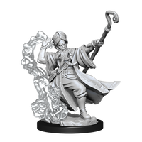 D&D Frameworks: Human Wizard Male - Unpainted and Unassembled